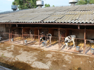 Farma Agrimat Matca, Galati