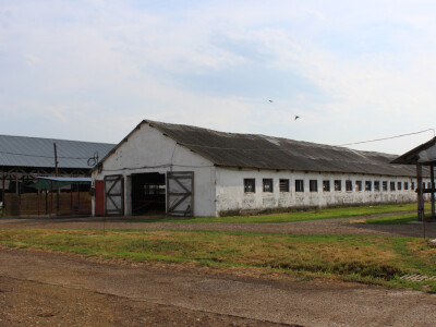 Farma Agrimat Matca, Galati