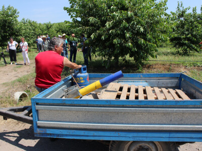 Top za tjeranje ptica