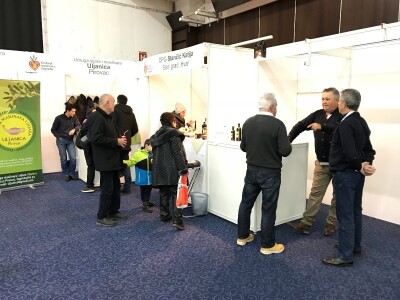 3. Festival maslina u Zagrebu