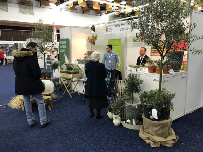 3. Festival maslina u Zagrebu