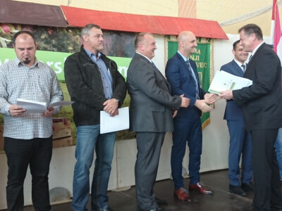 Srebrna plaketa za kupinovo vino