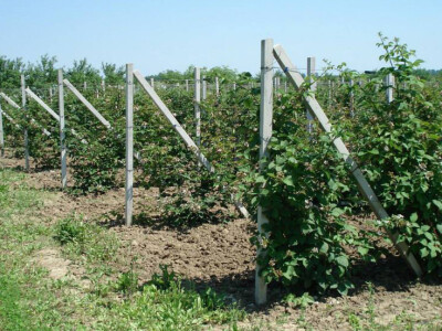 Dragan je sam napravio betonske stupce