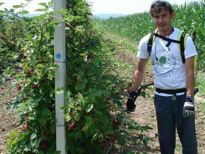 Robert Slezak mikorizira kupinjak