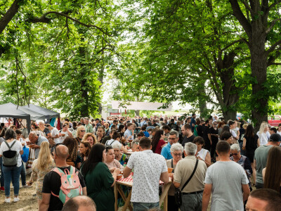 30. Baranjski bećarac