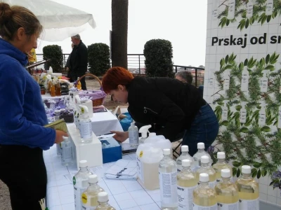 30. Zeleni Kastav