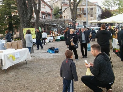 30. Zeleni Kastav
