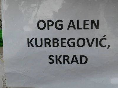 30. Zeleni Kastav