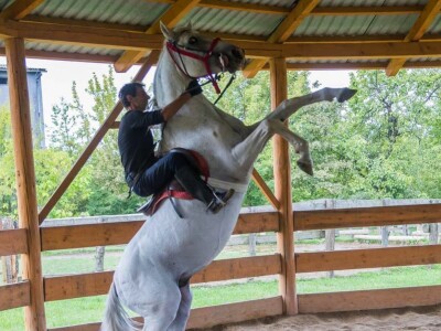 Ergela "Vučijak" Prnjavor