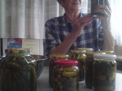 Ukiseljeni krastavci spremni za degustaciju