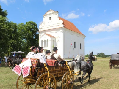 31. Baranjski bećarac u Topolju