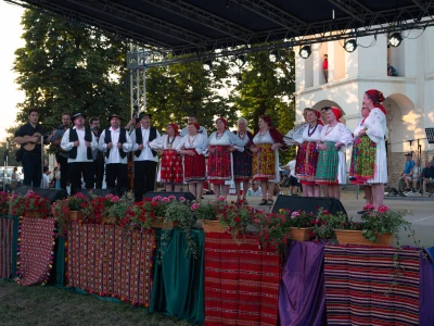 31. Baranjski bećarac u Topolju