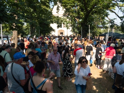 31. Baranjski bećarac u Topolju