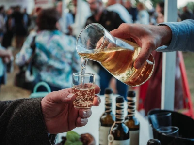 31. Baranjski bećarac u Topolju