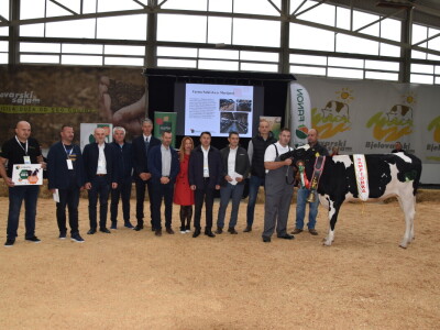 31. Državna stočarska izložba - najbolja hrvatska grla