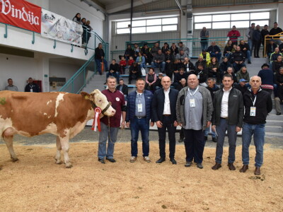 31. Državna stočarska izložba - najbolja hrvatska grla