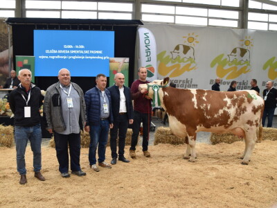 31. Državna stočarska izložba - najbolja hrvatska grla