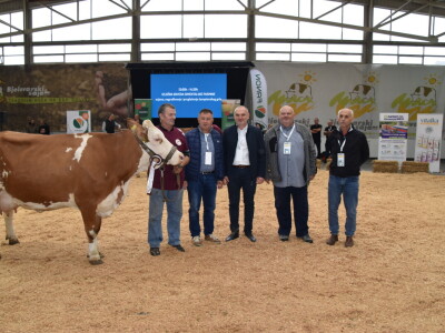 31. Državna stočarska izložba - najbolja hrvatska grla