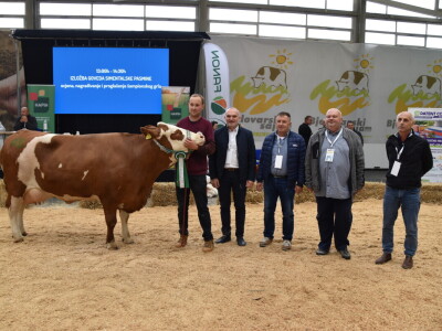 31. Državna stočarska izložba - najbolja hrvatska grla