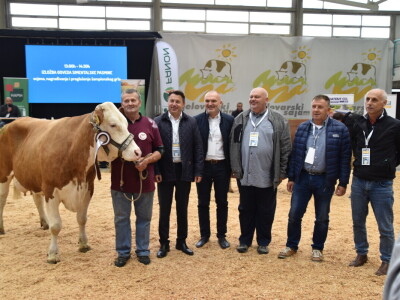 31. Državna stočarska izložba - najbolja hrvatska grla