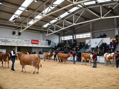 31. Državna stočarska izložba - najbolja hrvatska grla