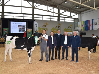 31. Državna stočarska izložba - najbolja hrvatska grla