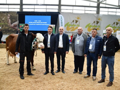 31. Državna stočarska izložba - najbolja hrvatska grla