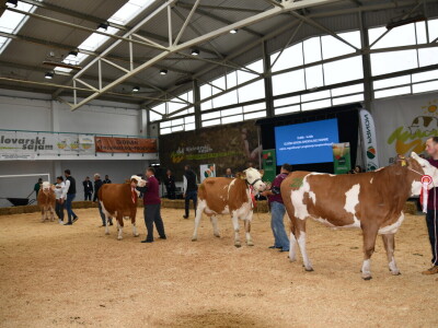 31. Državna stočarska izložba - najbolja hrvatska grla