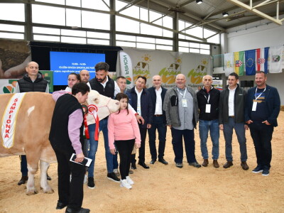 31. Državna stočarska izložba - najbolja hrvatska grla