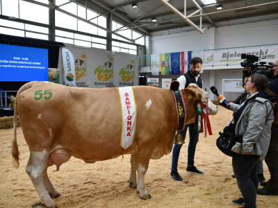 31. Državna stočarska izložba - najbolja hrvatska grla