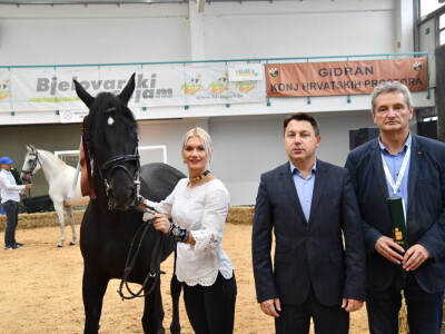 31. Državna stočarska izložba - najbolja hrvatska grla