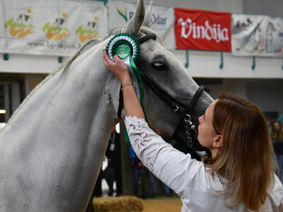 31. Državna stočarska izložba - najbolja hrvatska grla