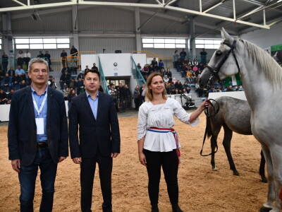 31. Državna stočarska izložba - najbolja hrvatska grla