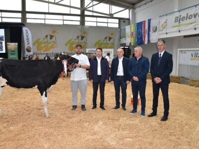 31. Državna stočarska izložba - najbolja hrvatska grla