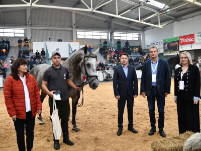 31. Državna stočarska izložba - najbolja hrvatska grla