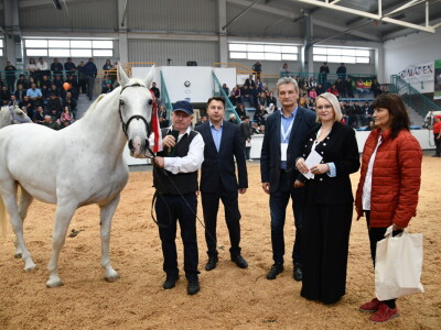 31. Državna stočarska izložba - najbolja hrvatska grla