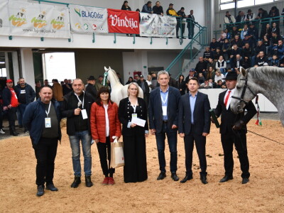 31. Državna stočarska izložba - najbolja hrvatska grla