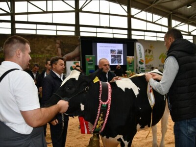 31. Državna stočarska izložba - najbolja hrvatska grla