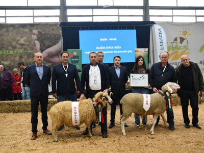 31. Državna stočarska izložba - najbolja hrvatska grla