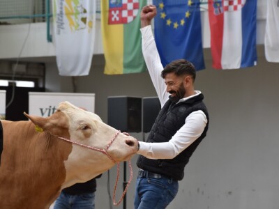 31. Državna stočarska izložba - najbolja hrvatska grla