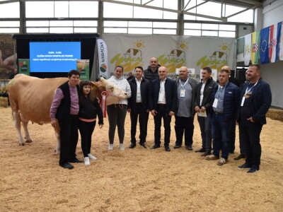 31. Državna stočarska izložba - najbolja hrvatska grla