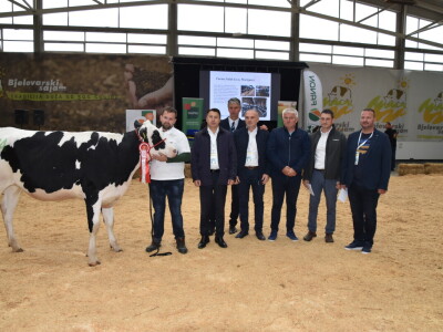 31. Državna stočarska izložba - najbolja hrvatska grla