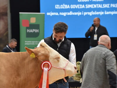 31. Državna stočarska izložba - najbolja hrvatska grla