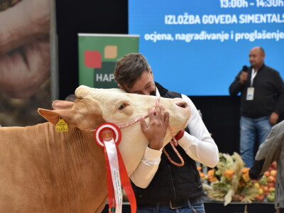 31. Državna stočarska izložba - najbolja hrvatska grla