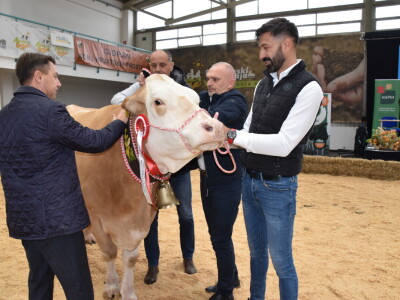 31. Državna stočarska izložba - najbolja hrvatska grla