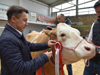 31. Državna stočarska izložba - najbolja hrvatska grla