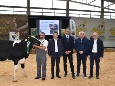 31. Državna stočarska izložba - najbolja hrvatska grla