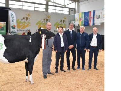 31. Državna stočarska izložba - najbolja hrvatska grla