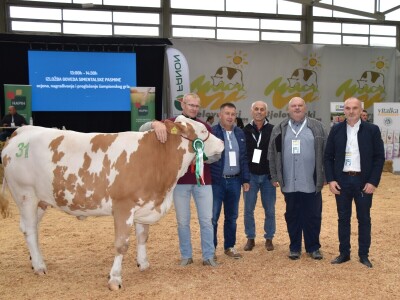 31. Državna stočarska izložba - najbolja hrvatska grla