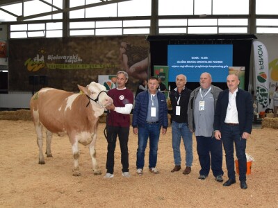 31. Državna stočarska izložba - najbolja hrvatska grla